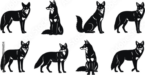 Majestic fox silhouette collection, wild forest wildlife vector set, hunting predator standing icons, isolated black canine nature elements.