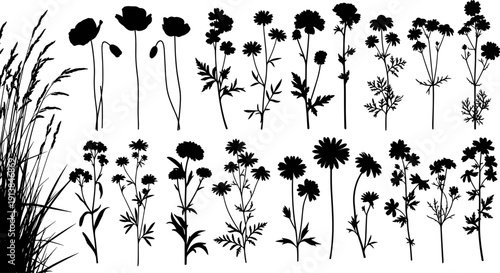 Wildflower silhouette collection, blooming meadow floral vector set, botanical garden plant graphics, isolated black blossom icons, decorative nature floral elements.
