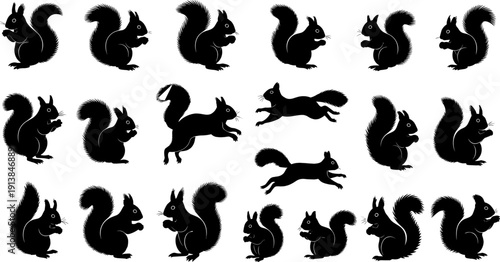 Squirrel silhouette collection, wild forest rodent vector set, jumping squirrel sitting graphics, nature wildlife animal icons, isolated black rodent elements.