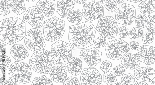A detailed illustration of various cracked earth landscapes with lines.