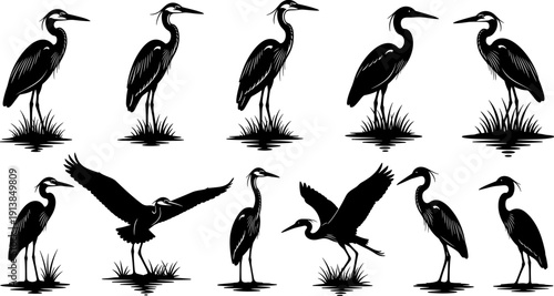 Heron bird silhouette collection, wild crane standing vector set, wetland wildlife flying graphics, isolated black lake bird icons, nature wading bird elements.