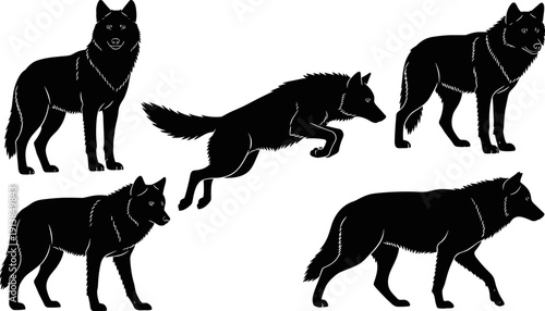Wolf predator silhouette collection, wild canine pack vector set, forest wildlife animal icons, jumping wolf hunting graphics, isolated black lupine elements.