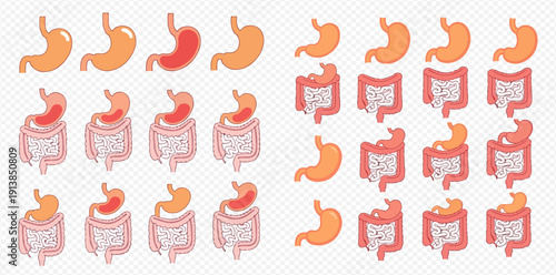 Set of human stomach and intestine icons showing digestive health and discomfort.