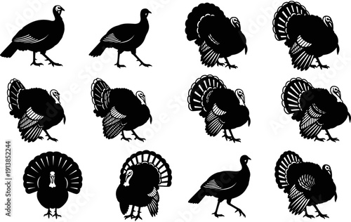 Turkey bird silhouette collection, wild turkey vector set, thanksgiving holiday design elements, poultry farm animal icons, bird hunting sport graphics, isolated black silhouettes.