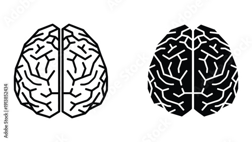 Two illustrations of human brain