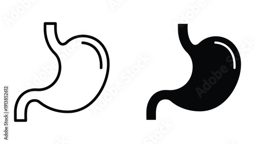 Stomach anatomy outline and silhouette