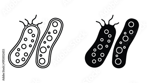 Bacteria cells illustration