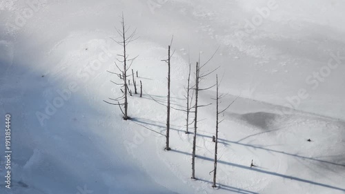 Wallpaper Mural ダムの水位が下がり残されていた立ち枯れした木が氷結した湖面より出ている様子 Torontodigital.ca