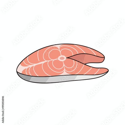 Raw Salmon Fillet Illustration