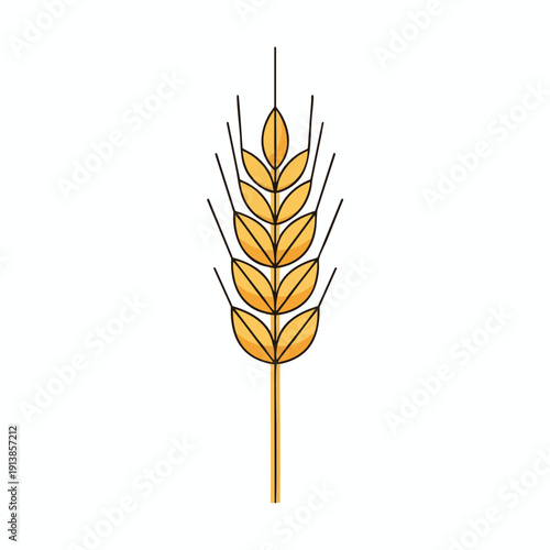 Golden Wheat Ears Illustration