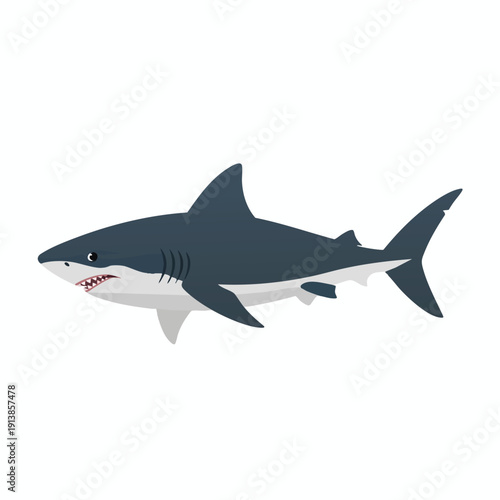 Vector illustration of a shark with sharp teeth