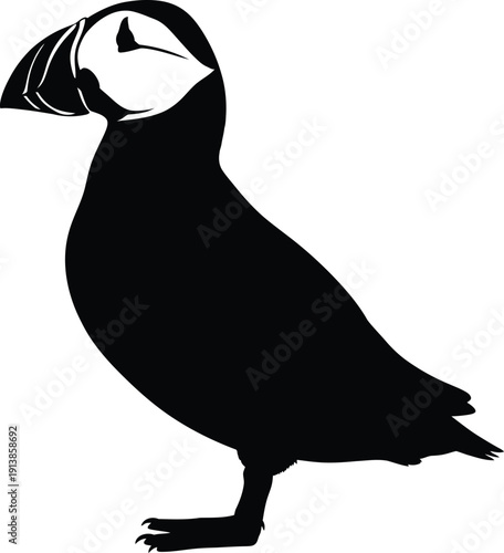 Vector illustration of a black crow on white background