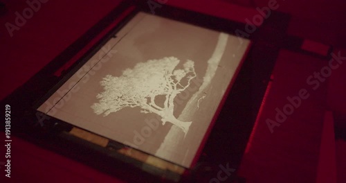 Professional photo printing in darkroom with enlarger focus calibration and image composition adjustment. Classic photographic printing technique