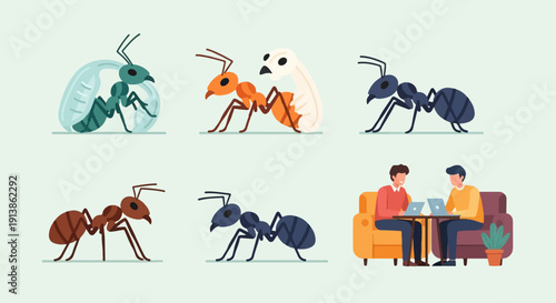 Six diverse illustrations of ants and people collaborating
