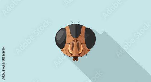 Stylized illustration of a fly's head against a light blue background