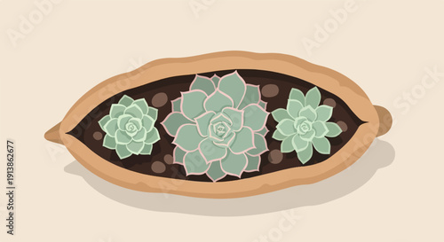 Three green succulents with pink edges in a long brown planter