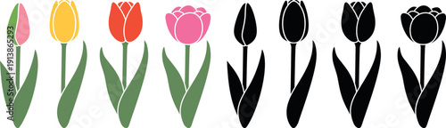 Tulip logo. Isolated tulip on white background. Flower