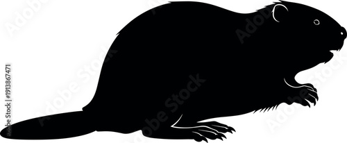 Beaver silhouette vector illustration, black and white animal art, wildlife rodent design, Canadian nature profile graphic, minimal decorative artwork