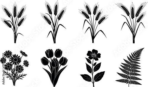 Black silhouette plants, wheat stalks, tulips, daisy flowers, fern frond illustration, botanical vector art, nature design elements, minimal floral artwork