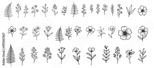 Large collection of hand-drawn botanical line art illustrations featuring wildflowers, ferns, and leaves
