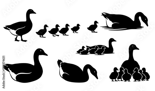 Farm goose family silhouette icon collection with goslings poultry bird vector