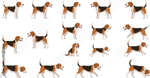 Beagle Dog Cartoon Character Running and Walking Animation Set for Pet Design, Cute Hound Motion Flat Vector Illustration Collection