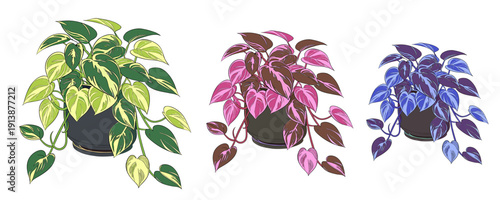 Stylized Grass and Foliage Set for Nature-Themed Designs