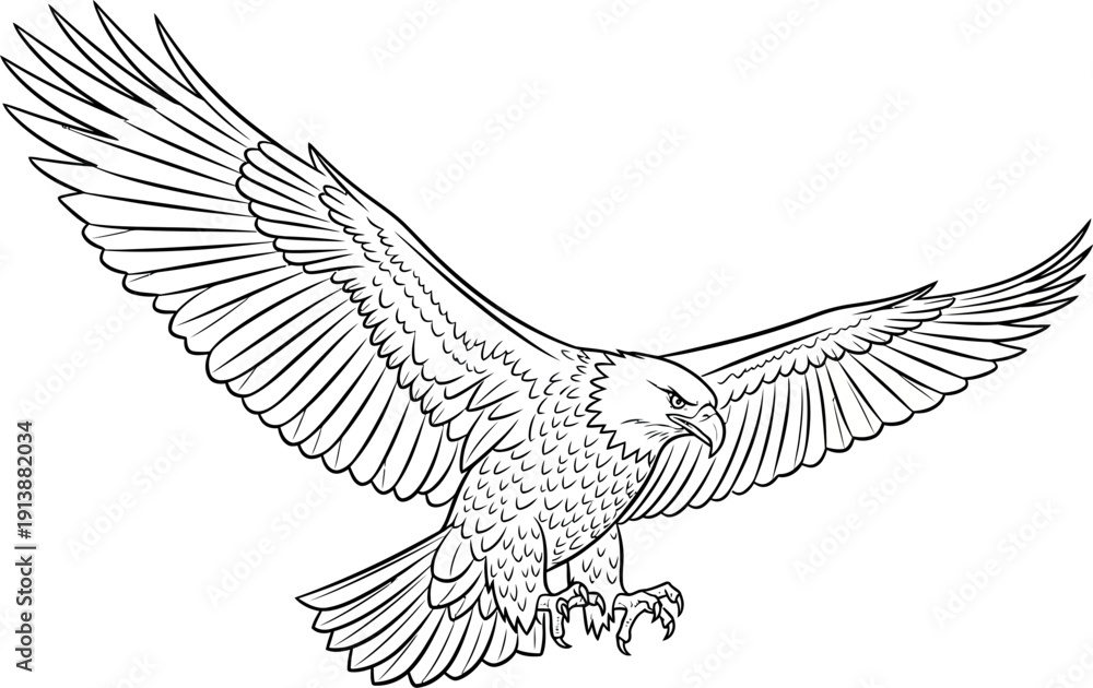 Obraz premium Eagle in Flight, Wings Spread Wide