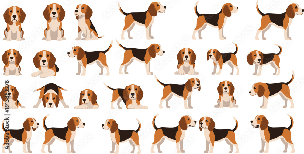 Fototapeta premium Beagle Dog Cartoon Character Mega Set with Sitting, Standing, Walking and Lying Poses for Pet Design Flat Vector Illustration Collection