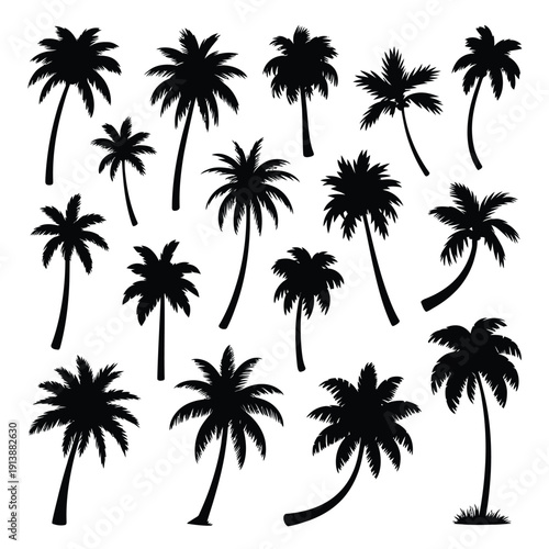 Collection of silhouetted palm trees in varying shapes and sizes