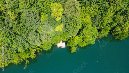 Lake hidden in the forest. ...