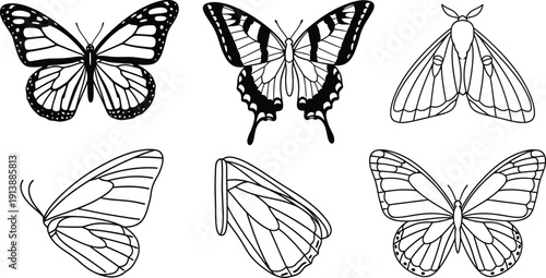 Collection of detailed butterfly and moth outlines black and white line art vector illustrations perfect for nature-themed designs and educational materials