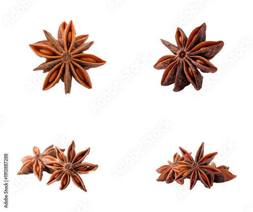 Star Anise Spice Collection Isolated on Transparent Background