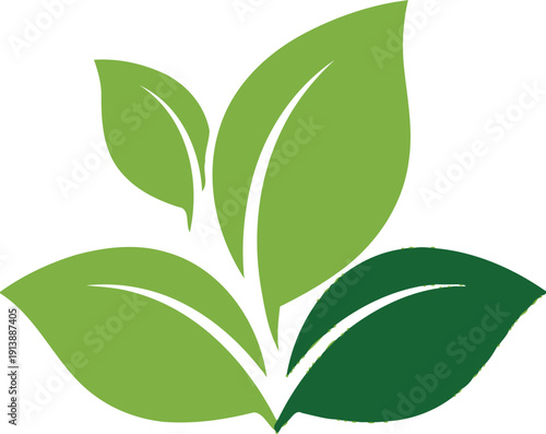 Green leaves plant on white, representing growth and environmental care