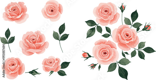 Blush pink roses and leaves on white background in watercolor style floral arrangement