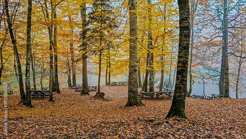 Autumn landscape in (seven ...