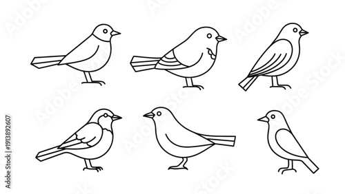 Collection of minimalist bird line art icons on a white background.