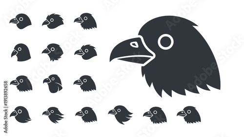 Collection of bird head evolution and beak variation icons on white.