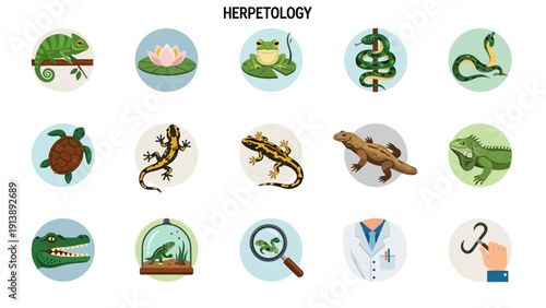 Vector Illustration Set of Herpetology Icons for Scientific Study and Education