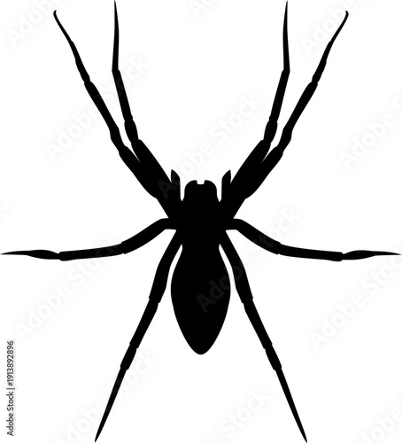 Spider black silhouette isolated on white background. Spooky insect logo illustration, halloween icon vector eps 10
