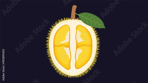 Detailed illustration of a halved durian fruit showing its yellow flesh and seeds against a dark background represents tropical exotic delicacies.