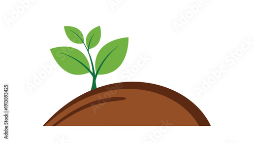 Small green seedling emerges from a mound of rich brown soil illustrating agricultural growth and the beginning of a new life.