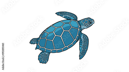 Detailed illustration of a blue sea turtle swimming through ocean water highlighting marine biology and aquatic life conservation.