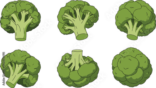 Fresh broccoli vegetable flat vector illustration set, healthy green organic food icons isolated on white background for nutrition design