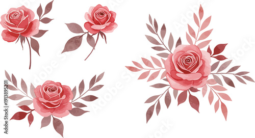 Four beautiful pink roses with leaves on white background floral arrangement