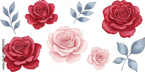 Beautiful watercolor roses in various colors with leaves on white background