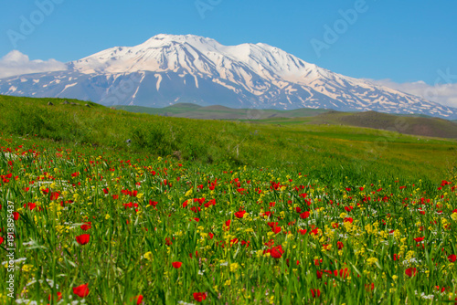Fotografie Mount Ararat (Armenian: Արարատ, Ararat or Մասիս, Masis; Kurdish: Çiyayê Agirî; during the Seljuk period: Eğri Dağ), with an altitude of 5,137 meters, is the highest mountain in Türkiye