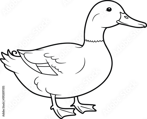 Cute duck outline illustration, black and white cartoon waterfowl coloring page for kids nursery farm animal clipart design printable template