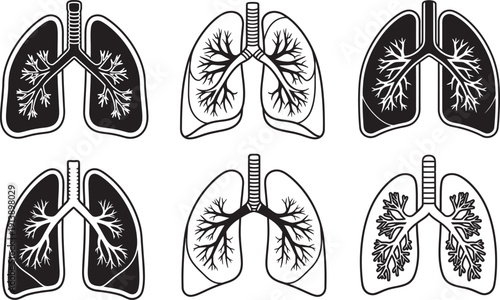 Set of detailed human lung anatomy illustrations, showcasing respiratory system organ structure for medical and educational design