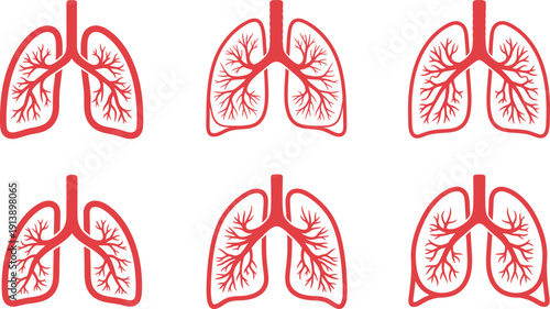 Diverse vector illustrations of human lungs, highlighting various forms of the respiratory organ for anatomical studies and health-related graphics